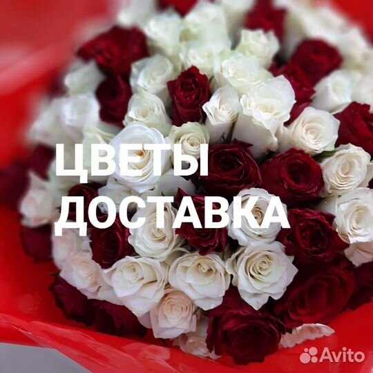 Бело-красные розы