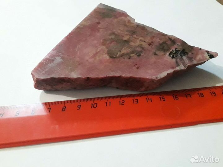 Родонит орлец