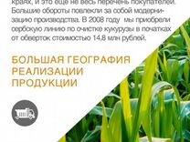 Семена кукурузы гибрид Краснодарский 385