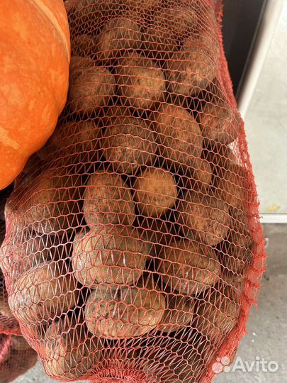 Продам картофель