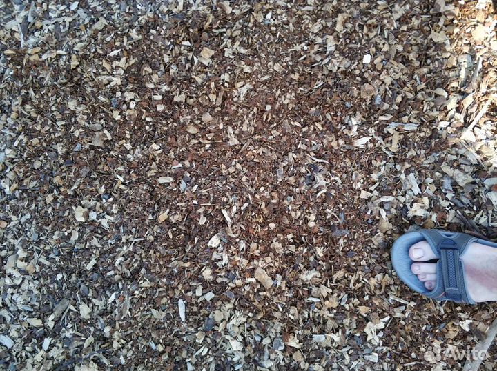 Мульча кора ольхи