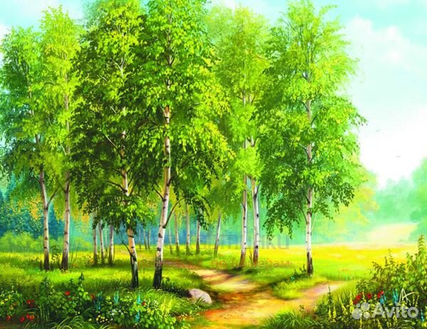 Алмазная мозаика 30x40 Березовая роща в летний ден