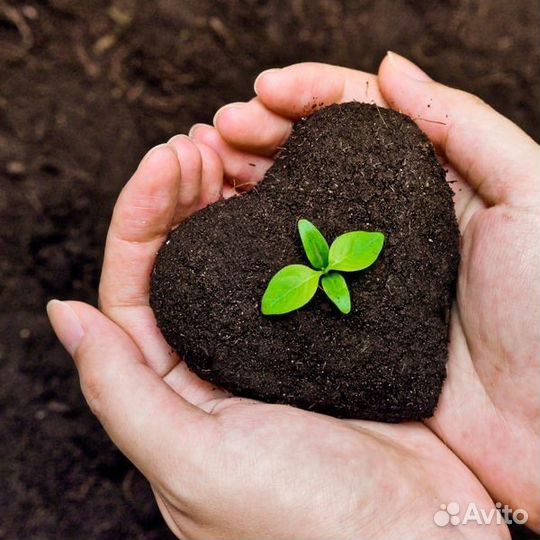 Конский навоз, перегной