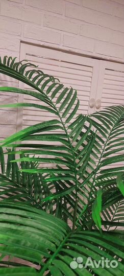 Искусственная пальма