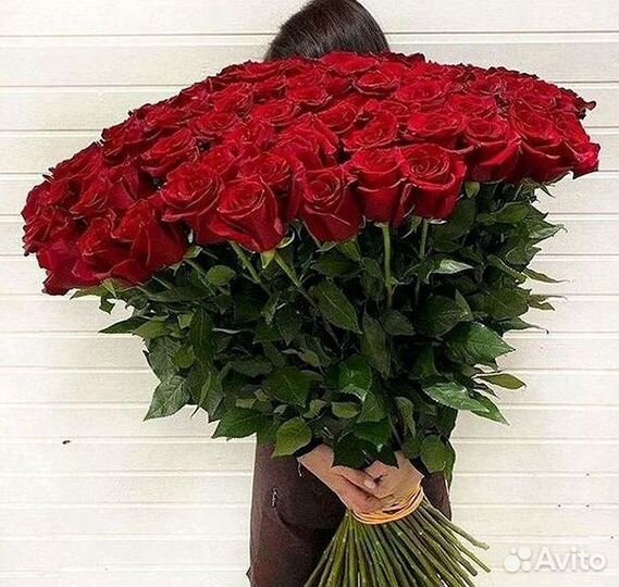 Букет роз 101 роза 51 роза