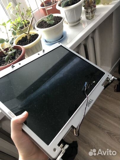 Дисплей ноутбука Dell inspirion 1501