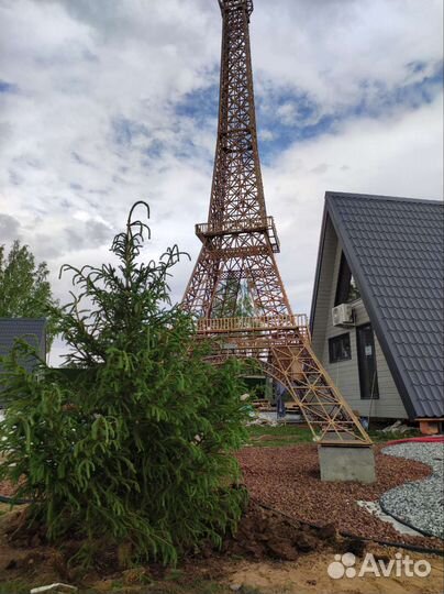 Ель, сосна саженцы (крупномеры) посадка