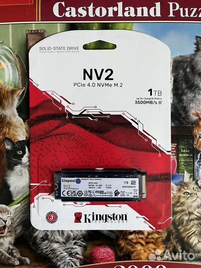 SSD 1TB M2 kingston гарантия