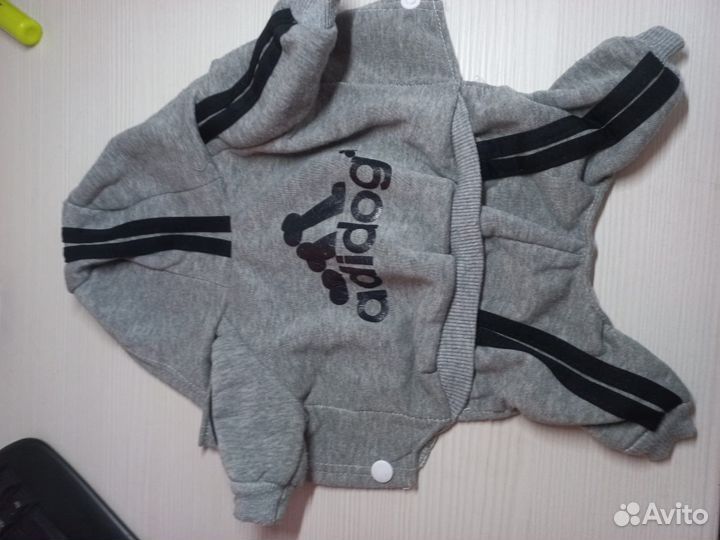 Одежда для маленьких собак