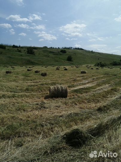 Сено в мини рулонах
