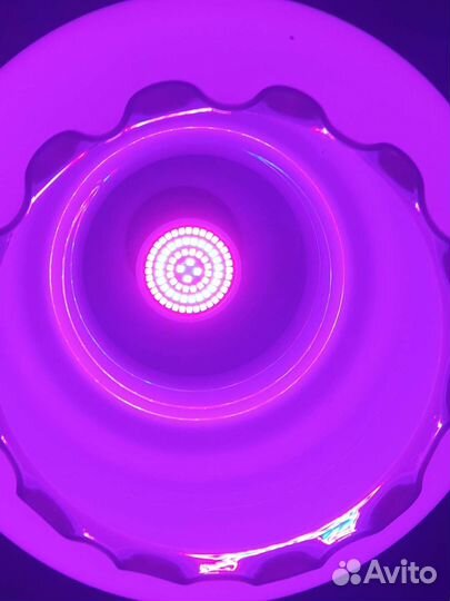 Фитолампа led на 60 и 80 диодов