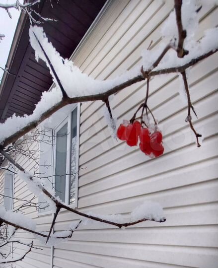 Дом 163 м² на участке 10 сот.