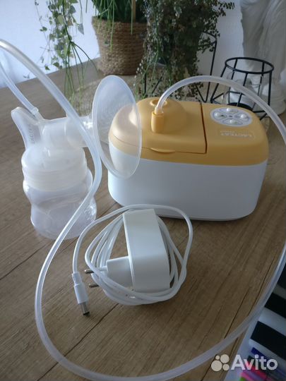 Молокоотсос lactea