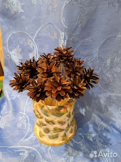 Шишки сосновые