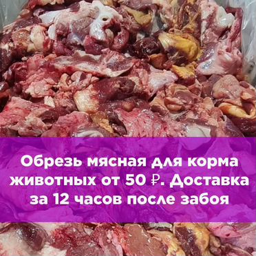 Костные части вслед за окотом для котов в квартиру