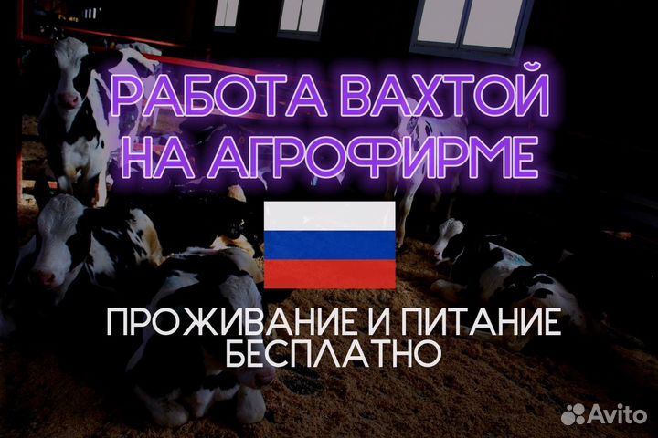 Разнорабочий на агрофирму без опыта