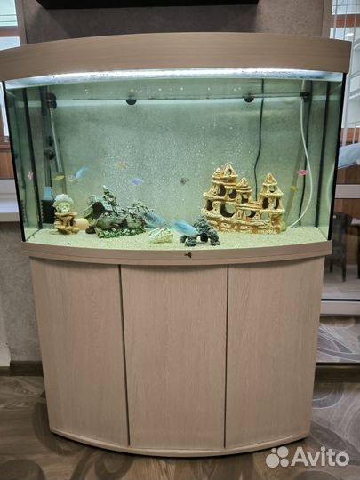 Аквариум 250 л с тумбой