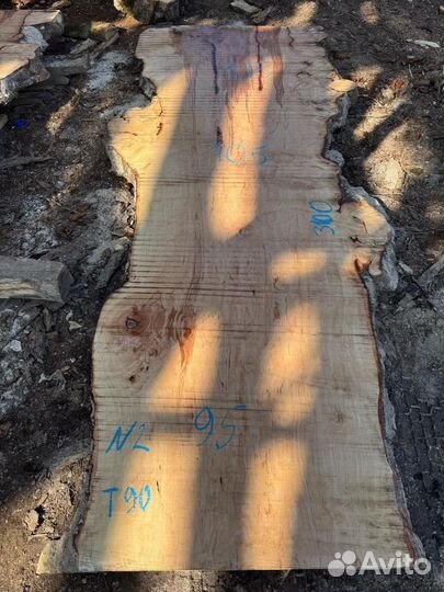 Слэбы капового гигантского чинара в наличии