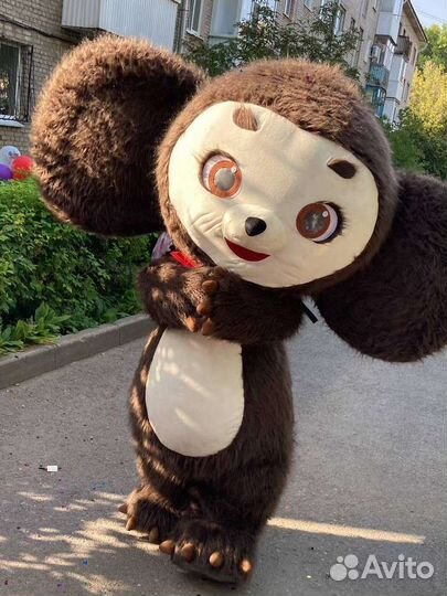 Экспресс-поздравление Ушастика