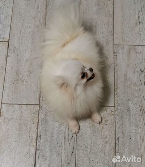 Взрослые девочки