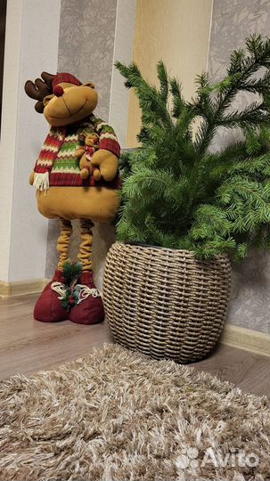 Кашпо из ротанга. Ручная работа. Плетем сами