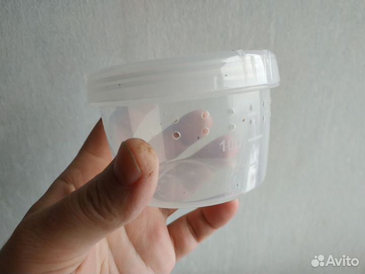 Контейнер круглый