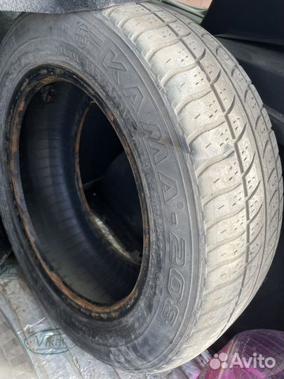 Nordman WR 185/60 R14