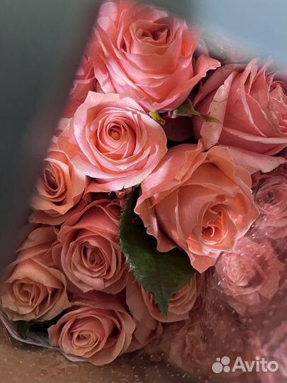Продажа роз оптом