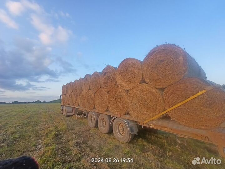 Свежее сено в рулонах. доставка.2024года