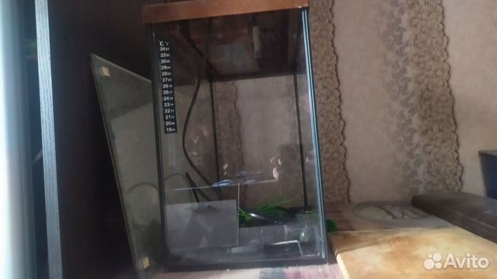 Аквариум