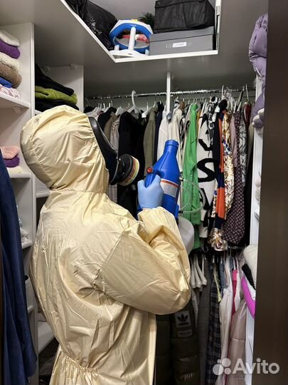 Уничтожение клопов,тараканов,плесени