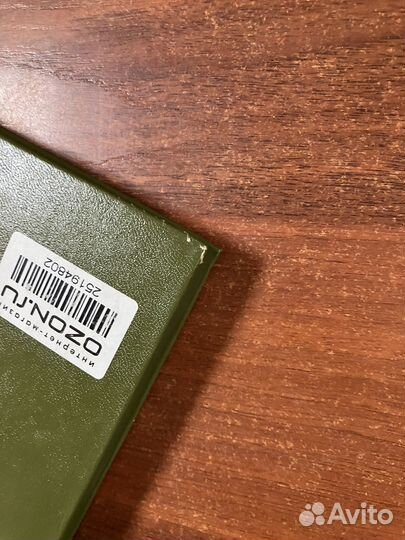 Теодор Шторм. Всадник на белом коне