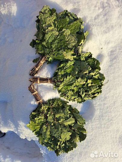 Веники для бани