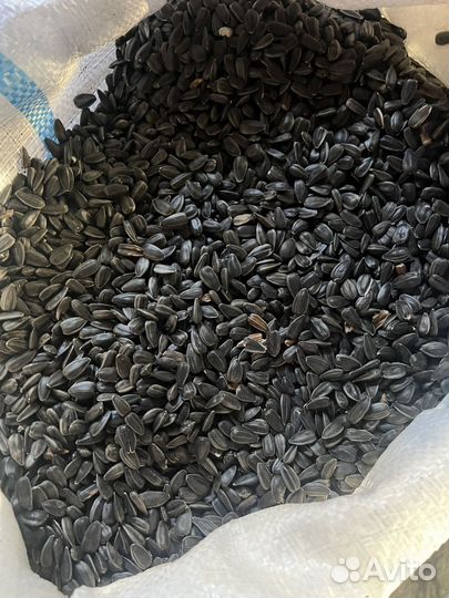 Семечки крупные
