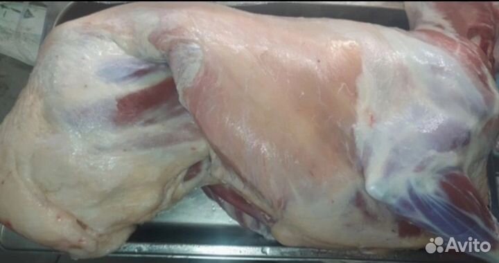 Мясо баранина