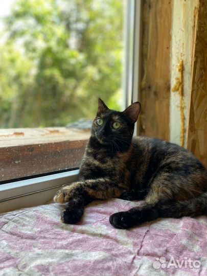 Малышка Гера