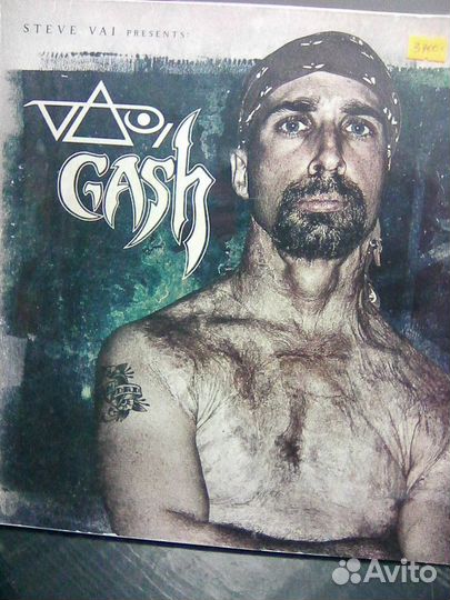 Виниловая пластинка Steve Vai 