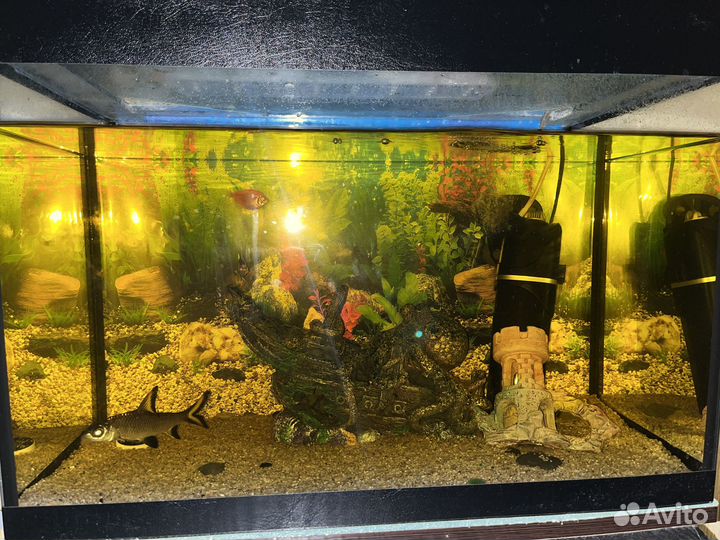 Аквариум 80 литров и тумба