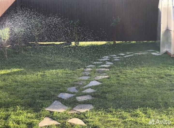 Рулонный газон