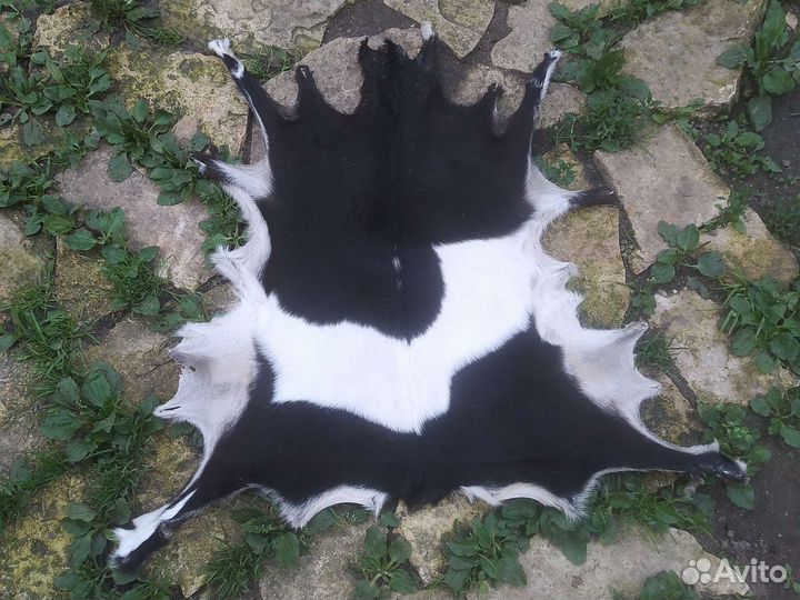 Шкурки
