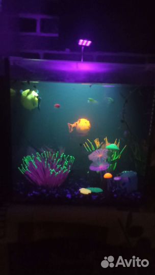 Аквариум с рыбками люминисцентный Gloxy
