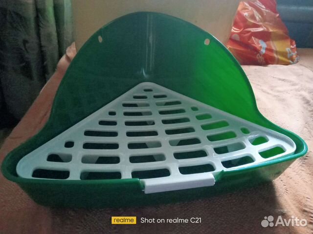 Для животных многое