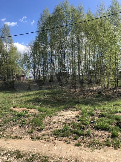 Участок 16,5 сот. (ИЖС)