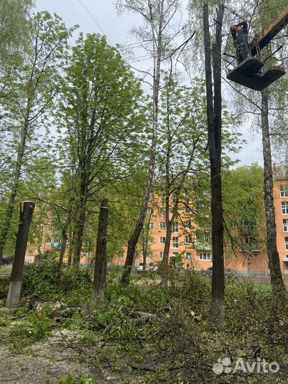 Спил деревьев, чистка участков, покос травы