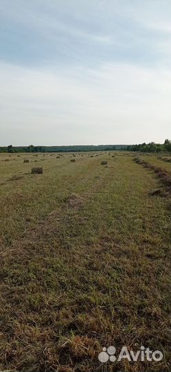 Сено в мини -рулонах