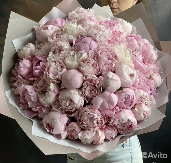 Розы 25 шт 51 штука 101 роза доставка