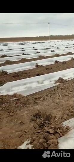 Проволока металлическая