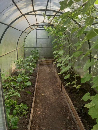 Дача 22 м² на участке 6 сот.