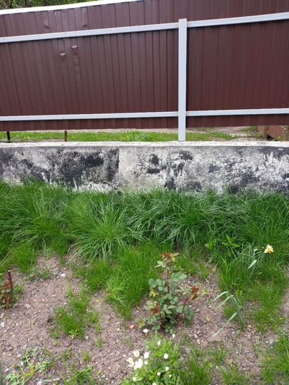 Дом 52 м² на участке 6 сот.