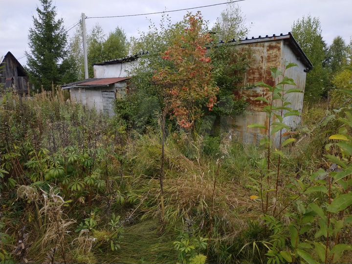 Участок 11 сот. (СНТ, ДНП)